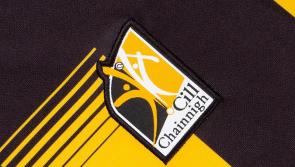 Kilkenny senior hurling star shares career update 