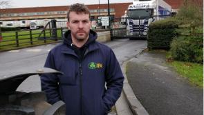 Radical changes are needed to save the horticultural sector according to the IFA