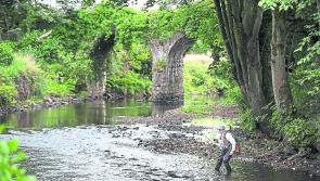 NARA- government must reject calls to maintain 'Nitrates Derogation'