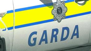 Breaking: 12 injured in horror smash in Kilkenny between school bus and truck