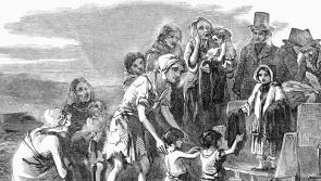 Ukrainian Ambassador to lead Famine Walk in Tipperary on Saturday