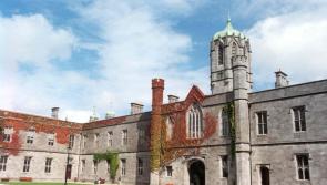 People from Kildare invited to take part in international sex survey being run by researchers at NUI Galway