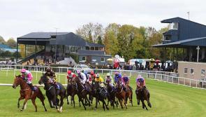 Lowry welcomes increased funding for horse and greyhound racing