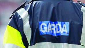 Woman dies in tragic Kilkenny accident