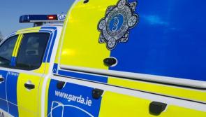 Female pedestrian dies following Roscommon road traffic collision