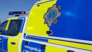 Gardai investigate burglary in Louth Village 