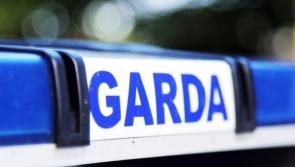 BREAKING: Man(40s) arrested following two deaths in St Stephens Day hit and run 