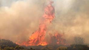 Warning - high risk of wildfires across Donegal as dry spell continues
