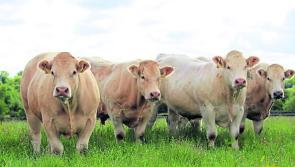 Kildare TD launches call for new agricultural research initiative 