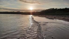 Holmes Beach Dog fouling owners called to task

