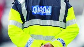Garda&iacute; investigating 'attempted theft and assault' in broad daylight in County Tipperary