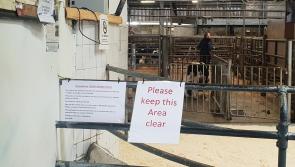 Lifting of restrictions at Donegal livestock marts welcomed