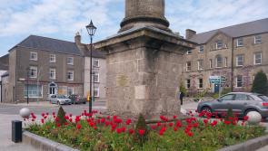 Birr residents reminded green areas are not neglected