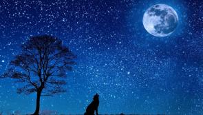 Carrick-on-Suir Library talk will explore the Moon 