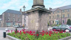Tidy Towns Pride of Place Awards launched in Offaly town