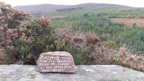 Clogheen all set to welcome walkers for the annual Rhododendron Walking Festival
