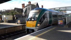  Lower public transport fares needed now insists Laois public representative