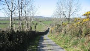 Tipperary landowners urged to cut hedgerows ahead of deadline to prevent potential hazards