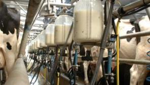 Tirlán's December milk price for its Tipperary suppliers is 40.08 cpl