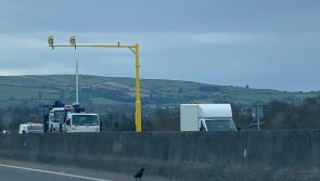 Tipperary TD calls for 12-month review of average speed cameras on Nenagh M7 stretch