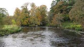 Have your say on proposed tree and vegetation management along the Bonet River