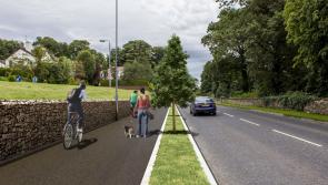 Work to commence on new Roscrea walking and cycling path 