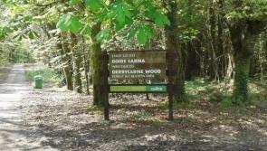 Call for lay-bys near Derrycarne Forest Park entrance