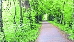 Eleven outdoor walks to enjoy in Kilkenny - click for list!