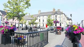 Extensive overhaul of Laois town's centrepiece is urgent local authority told