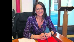 Louth Senator tackles "energy dumping" in Seanad speech 