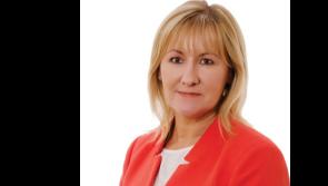 Louth TD says government needs to address chaos in tourism sector