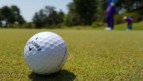 Ardee Golf Notes: Impressive wins for Brendan Matthews and Helen Thornton