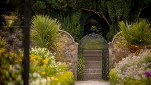 “Vital road” on Woodstock Estate is to be declared a ‘public road’ by Kilkenny County Council