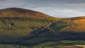 Eleven outdoor walks to enjoy in Kilkenny 