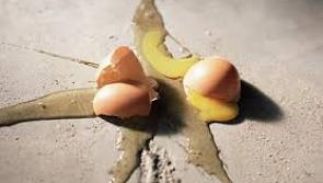 Garda urge public to report people throwing eggs