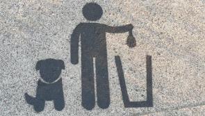 Appeal to curb dog fouling in Callan, with bags left hanging from trees
