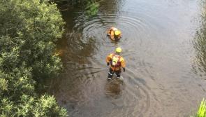 Kilkenny rivers under threat: What does it mean, what can be done?