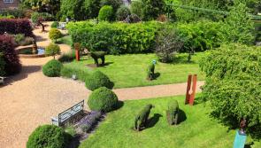 Special educational needs soft play area and sensory garden sought for school in County Kildare
