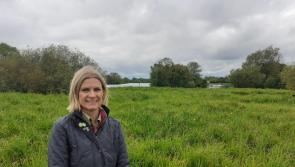 Offaly minister highlights inequality on Women and Girls in Science Day