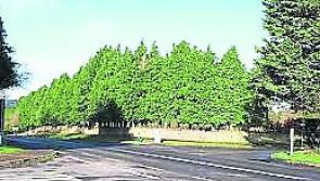 ‘It's only a matter of time before someone is killed,’ councillors call for action on Turtulla cross
