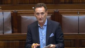 Dundalk TD calls on the Taoiseach to make supports available to people housing Ukrainian families