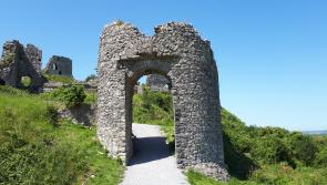 New strategy for the protection of Laois Heritage 