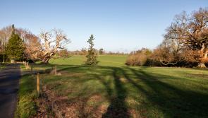 Planning application for advance technology building for Clonmel to be submitted early next year 