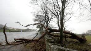  Warnings of strong winds and heavy rain issued for Donegal

