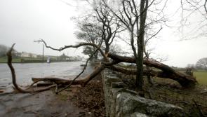 ALERT: Met Éireann have issued a Status Yellow Wind and Rain warning for Carlow