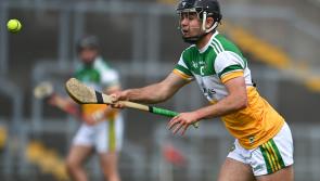 Offaly hurlers resume league action against Clare this Sunday