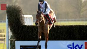 Bob Olinger set to head straight to Cheltenham, says Waterford trainer