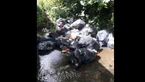 20 bags of rubbish dumped in Louth stream