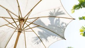 How to create shade in your garden 
