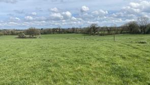 Limerick farming: Put your name down for Bettyville